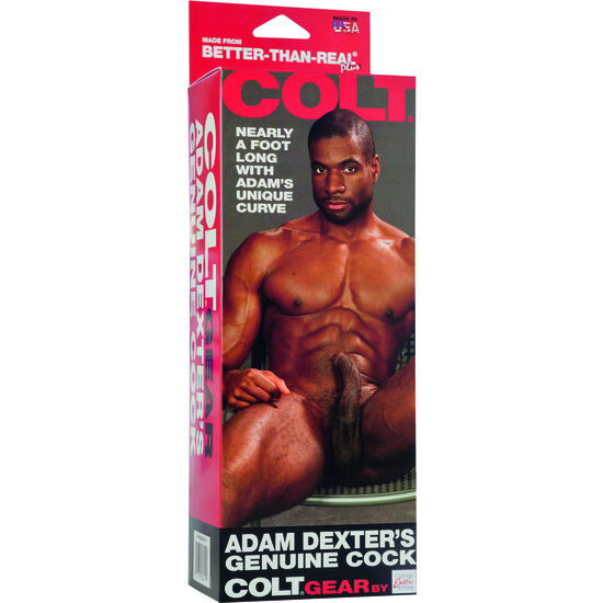CALEXOTICS - COLT PENE REALÍSTICO ADAM DEXTER