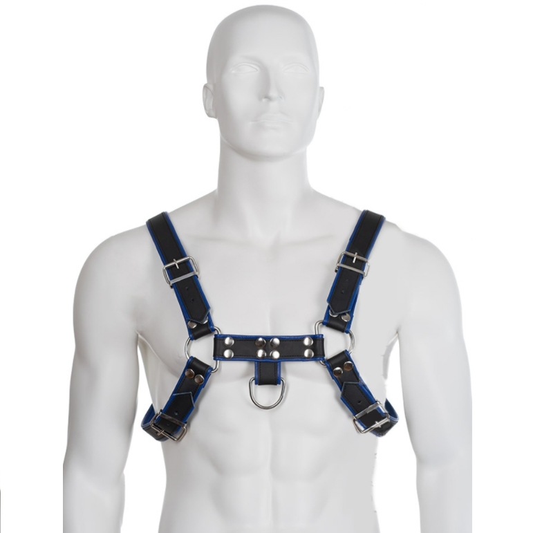 LEATHER BODY - ARNÉS CUERO AZUL Y NEGRO CHEST BULLDOG